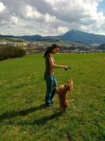 /album/anglicky-kokerspaniel/ja-a-mia-jpg/